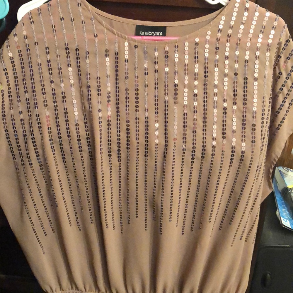 Sheer Lane Bryant shirt sleeve blouse